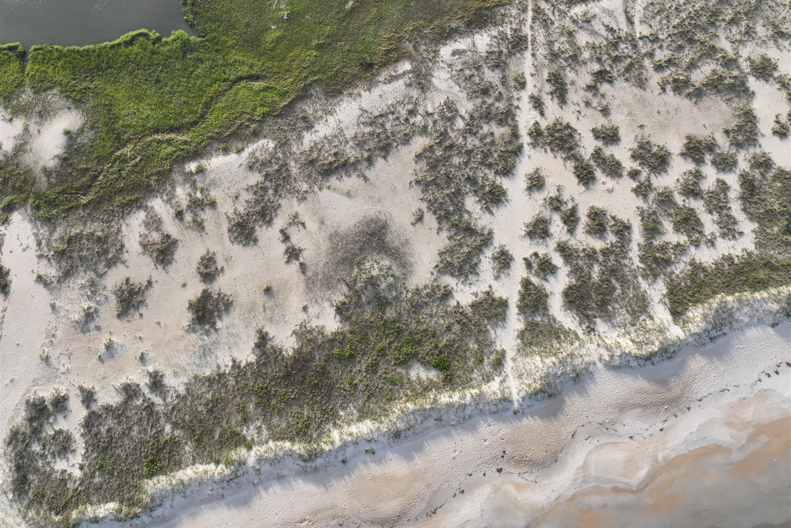 Overhead view of Masonboro's dunes, with a single footpath crossing from the marsh to the beach