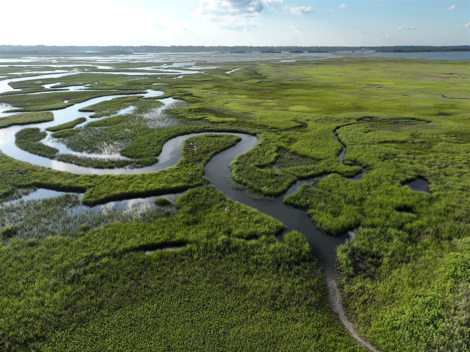 Aerial view of a tidal creek winding through the salt marsh behind Masonboro Island